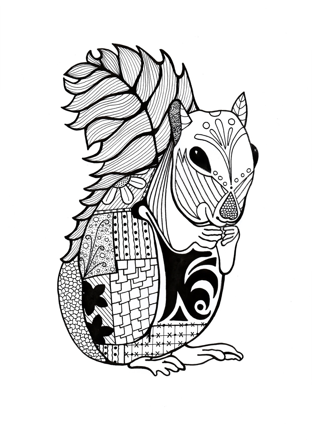 Animal Coloring Pages For Adults
 Intricate Squirrel Adult Coloring Page