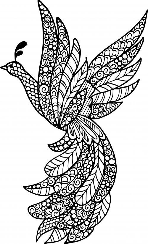 Animal Coloring Pages For Adults
 Advanced Animal Coloring Page 21