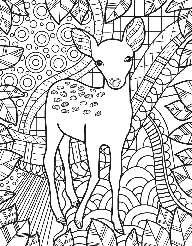 Animal Coloring Pages For Adults
 Zendoodle Coloring Baby Animals Jeanette Wummel