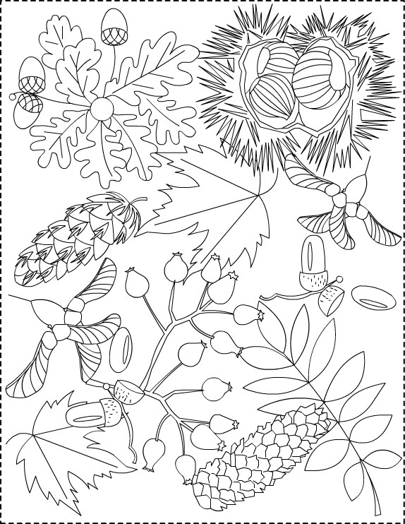 Autumn Coloring Pages For Adults
 Nicole s Free Coloring Pages Autumn coloring pages