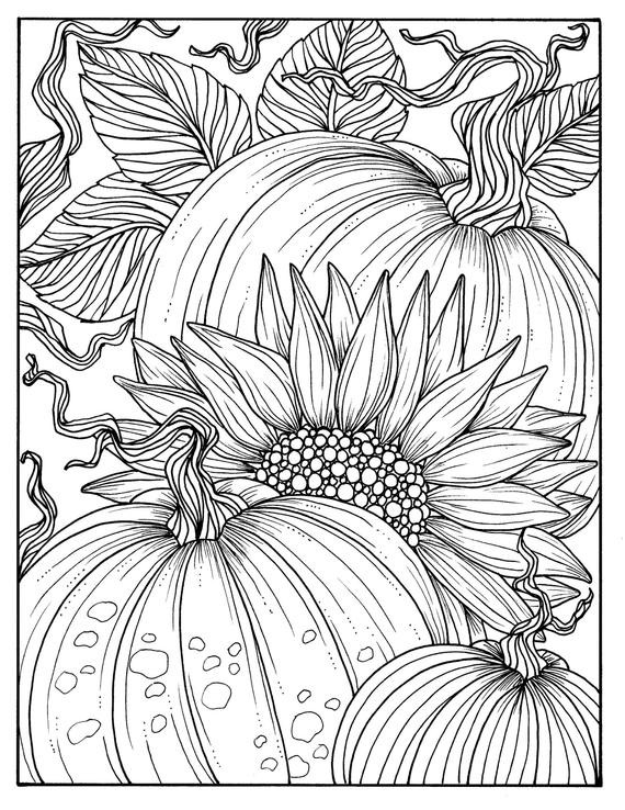 Autumn Coloring Pages For Adults
 Pumpkins and Sunflower Digital Coloring Page Fall Adult