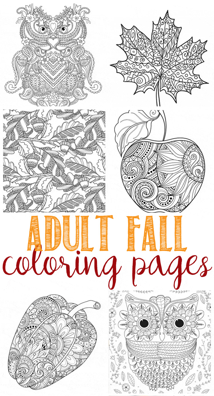 Autumn Coloring Pages For Adults
 Fall Coloring Pages for Adults Domestically Speaking