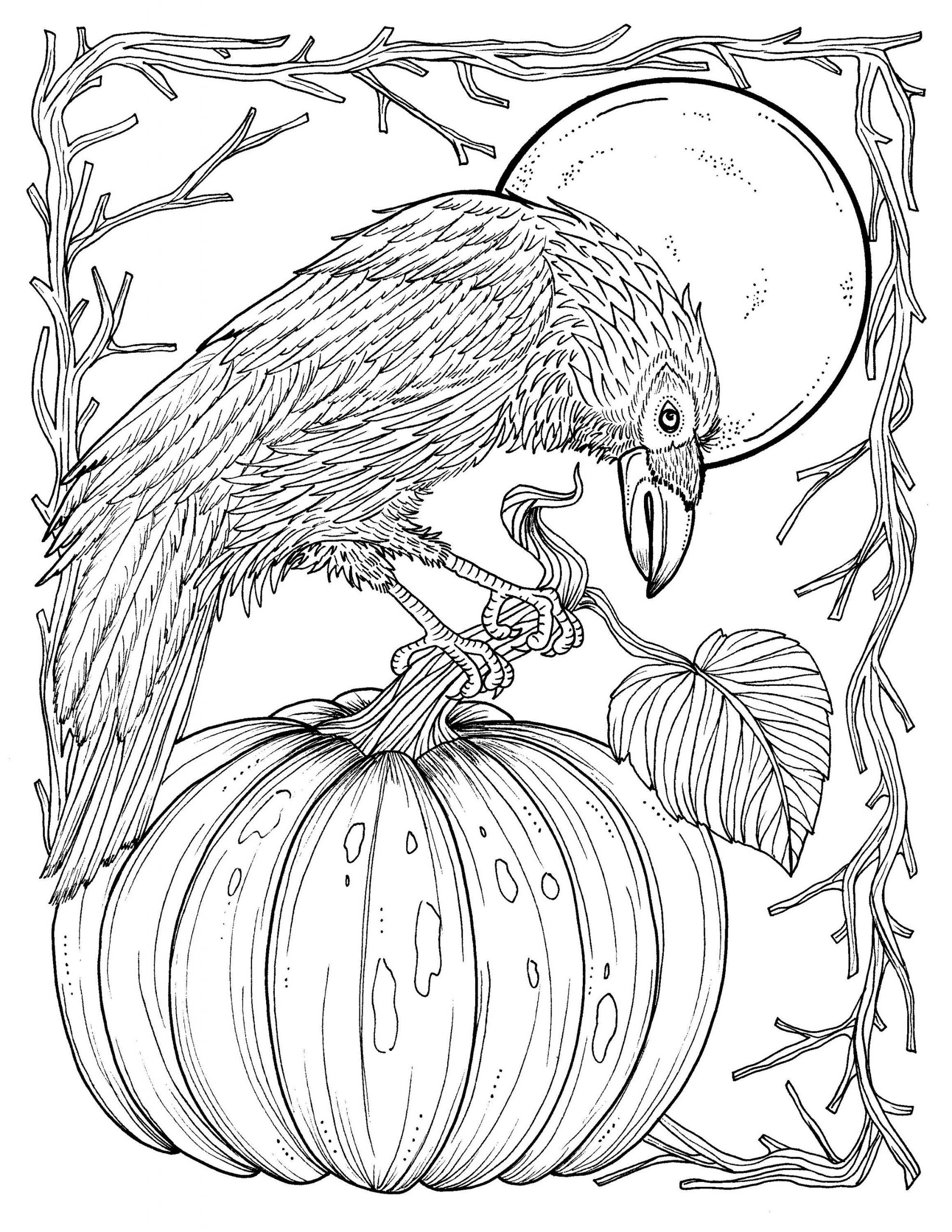 Autumn Coloring Pages For Adults
 Fall Crow Digital Coloring page Thanksgiving harvest Adult