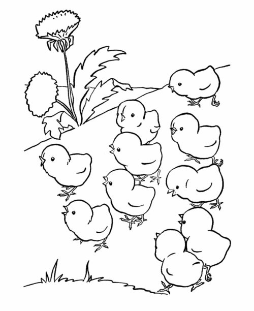 Baby Animal Coloring Book
 Baby Farm Animals Coloring Pages For Kids Disney