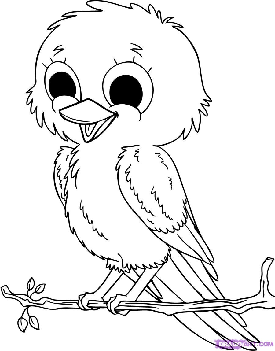 Baby Animal Coloring Book
 Baby Animals Coloring Pages To Kids
