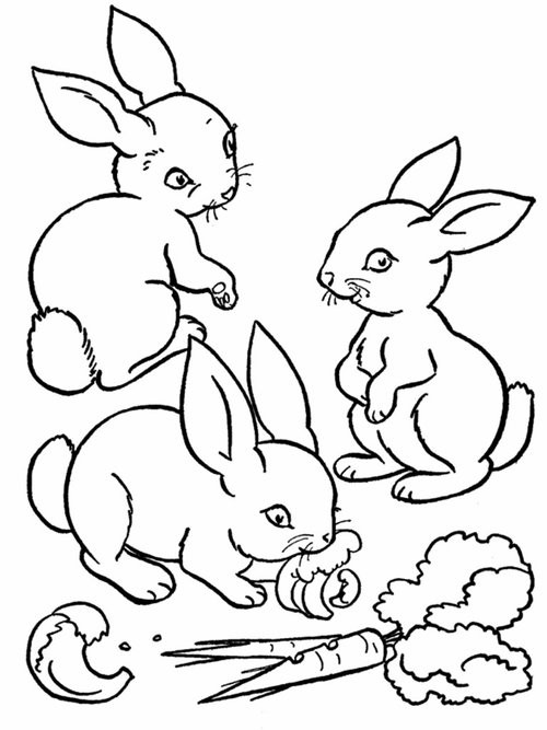 Baby Animal Coloring Book
 Baby Farm Animals Coloring Pages For Kids Disney