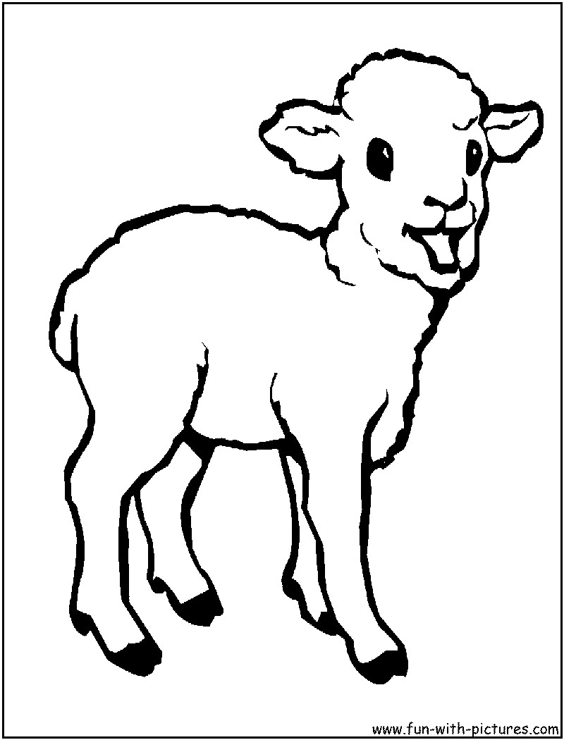 Baby Animal Coloring Sheets
 coloring Baby animals coloring pages