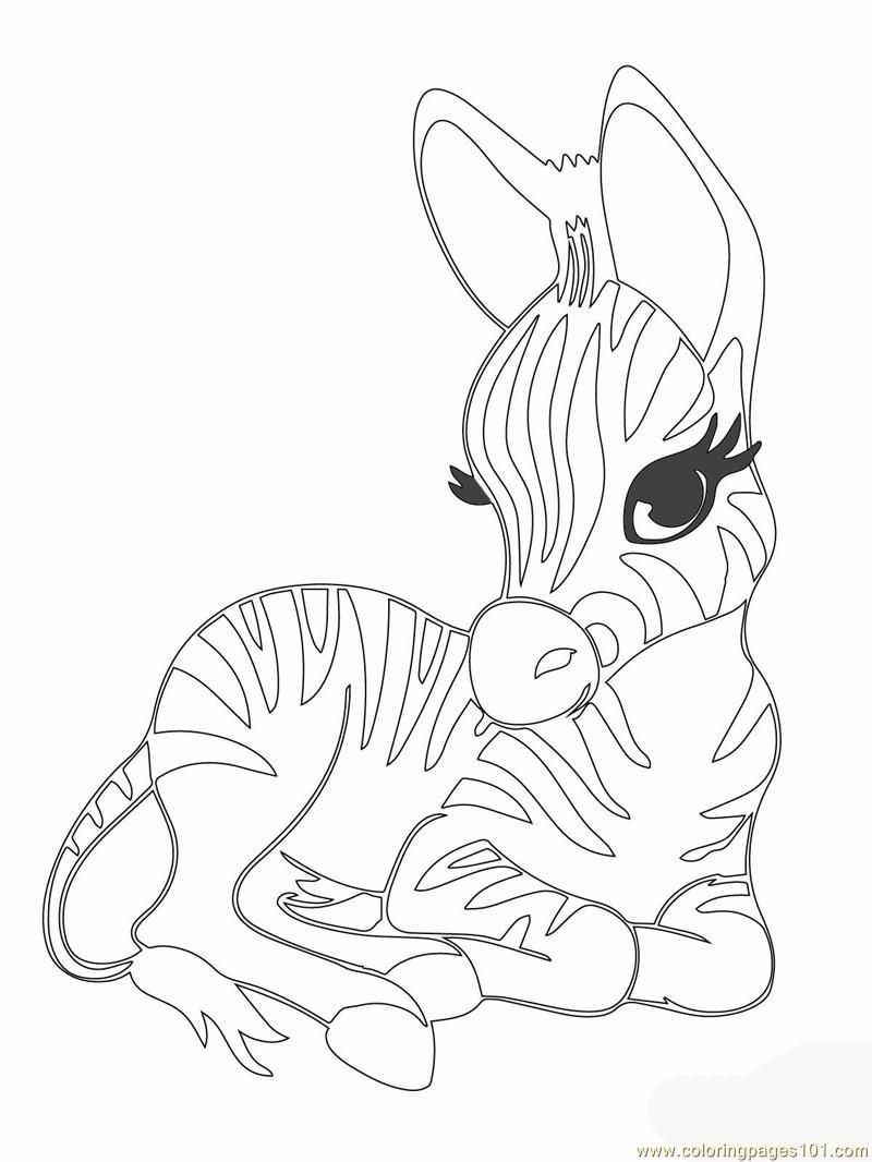 Baby Animal Coloring Sheets
 Cute Baby Tiger Coloring Pages Coloring Home