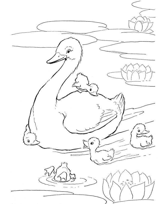 Baby Animals Coloring Book
 Baby Animals Coloring Pages To Kids