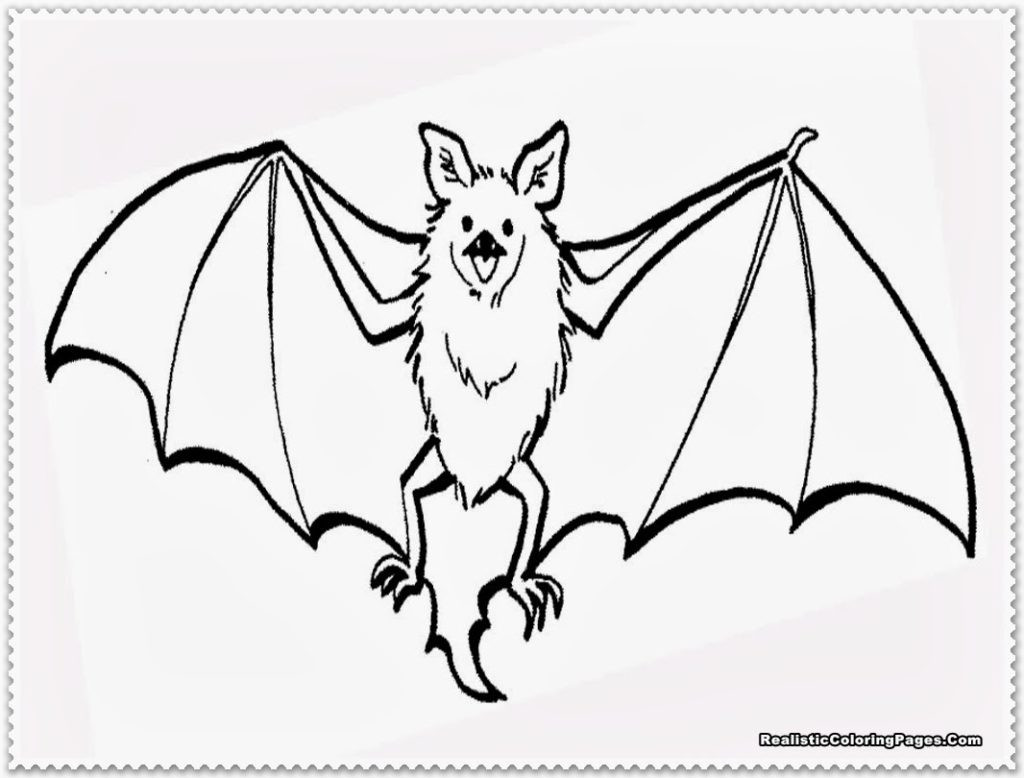 The top 21 Ideas About Baby Bat Coloring Pages - Home, Family, Style