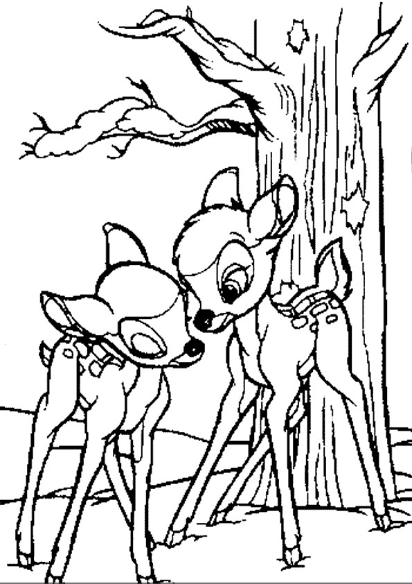 Baby Deer Coloring Page
 Baby Deer Coloring Page Coloring Home