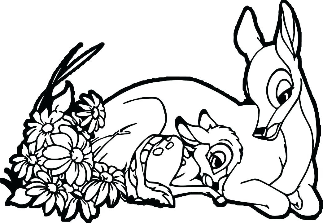 Baby Deer Coloring Page
 Cute Coloring Pages Best Coloring Pages For Kids