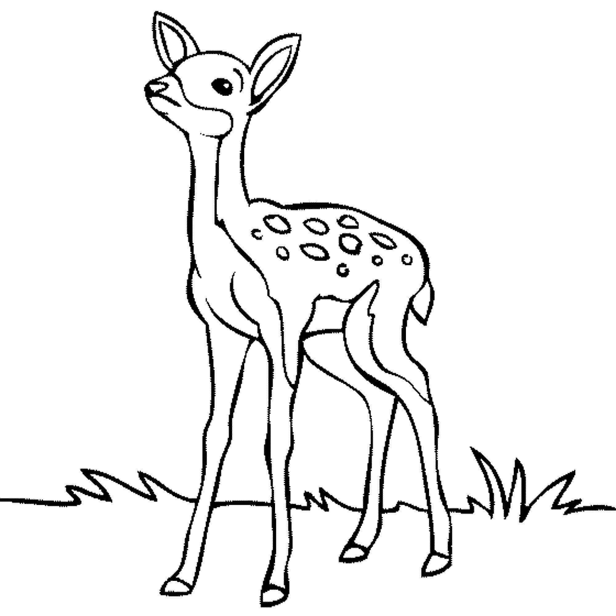 Baby Deer Coloring Page
 Print & Download Deer Coloring Pages for Totally