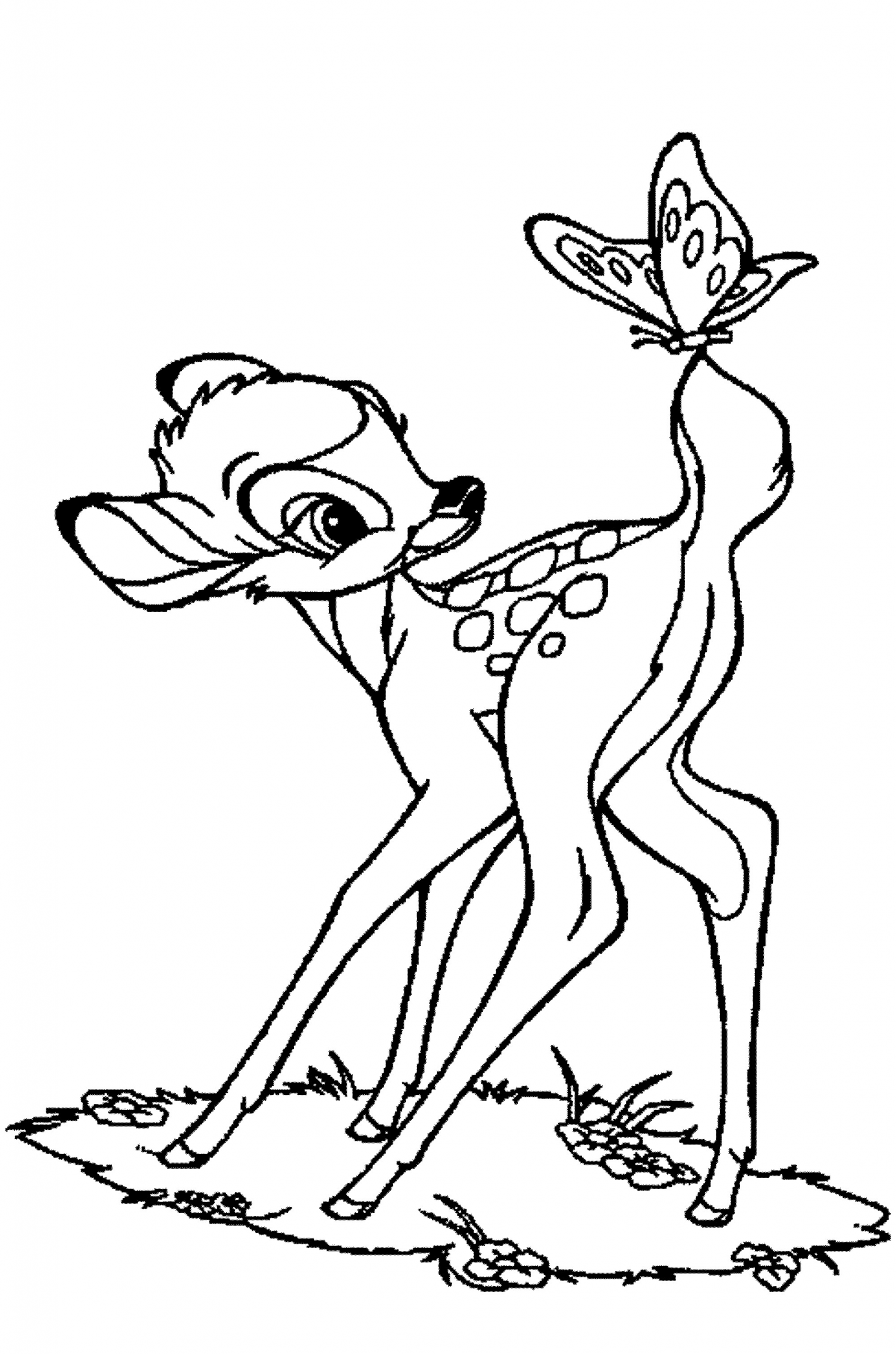 Baby Deer Coloring Page
 baby deer coloring pages Printable Kids Colouring Pages