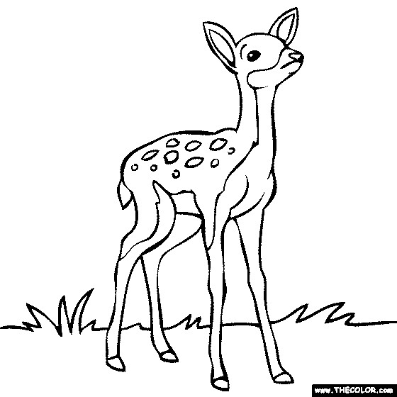 Baby Deer Coloring Page
 Free line Coloring Pages TheColor