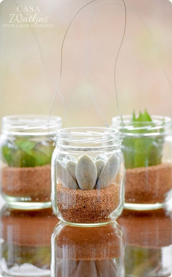 Baby Food Jar Craft
 Mini Succulent Hanging Planters