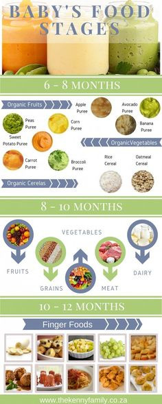 Baby Food Recipes 12 Months
 Solid Food Chart for Babies Aged 4 months through 12