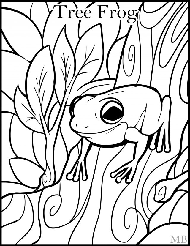 Baby Frog Coloring Pages
 Free Frog For Kids Download Free Clip Art Free