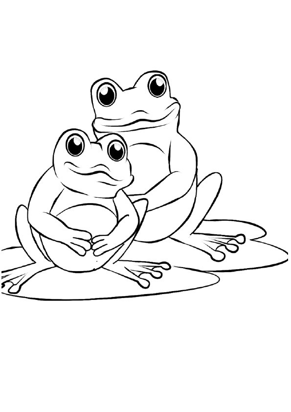 Baby Frog Coloring Pages
 Cute Frog Coloring Pages For Little es Coloring pages