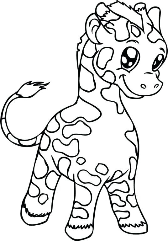 Baby Giraffe Coloring Page
 Succulent Coloring Page at GetColorings