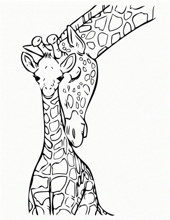 Baby Giraffe Coloring Page
 giraffe with baby coloring pages
