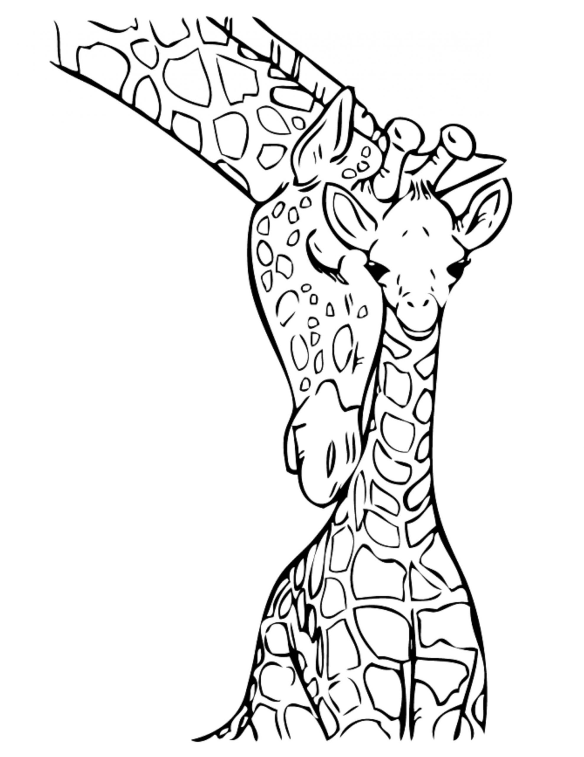 Baby Giraffe Coloring Page
 Jungle Coloring Pages Best Coloring Pages For Kids