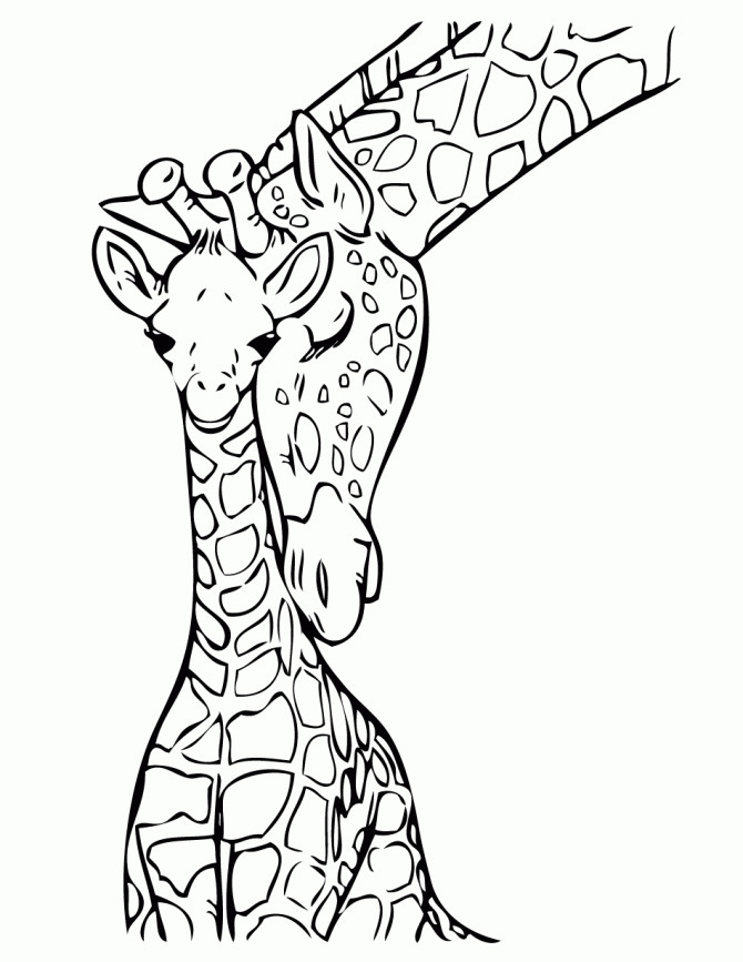 Baby Giraffe Coloring Page
 Baby Giraffe With Mommy Coloring Page