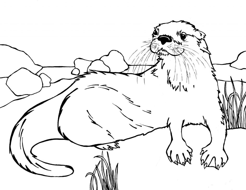 Baby Otter Coloring Pages
 Otter Coloring Pages Best Coloring Pages For Kids