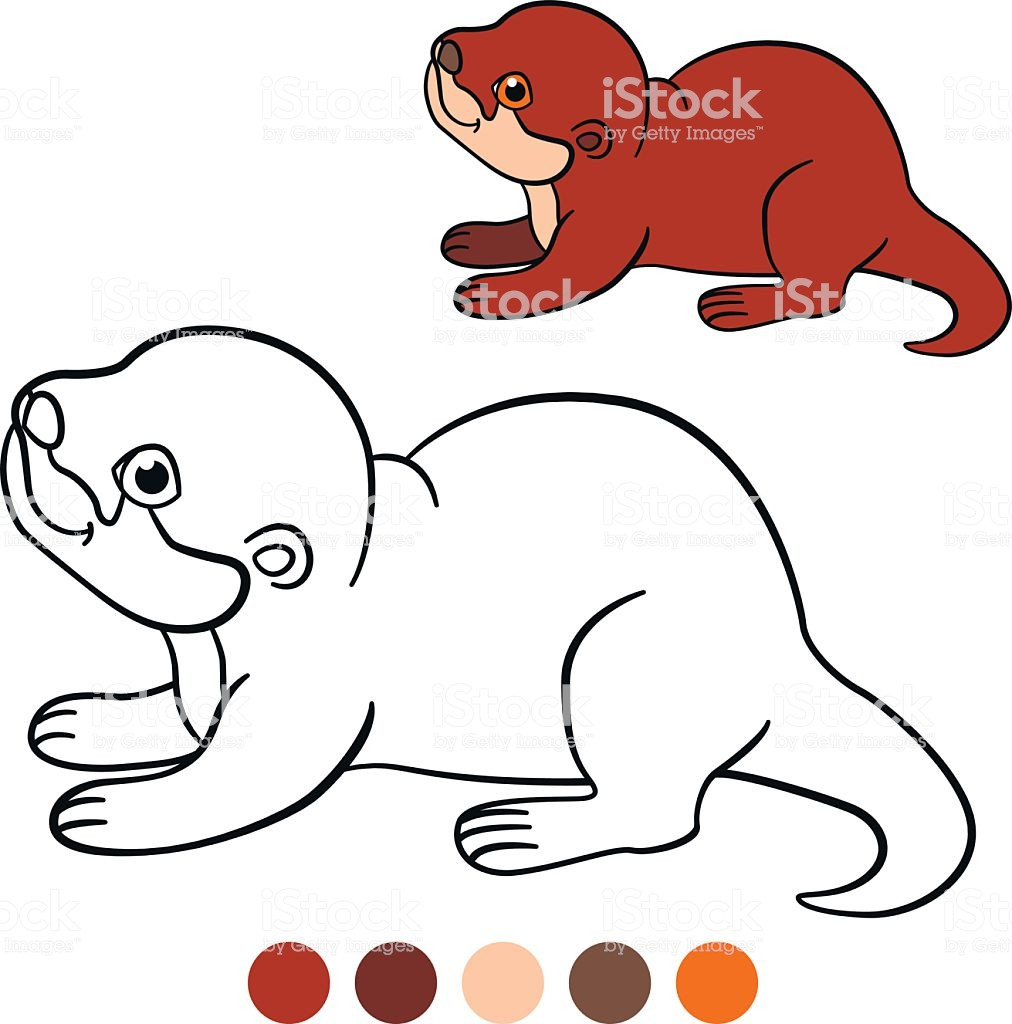 Baby Otter Coloring Pages
 Coloring Page Little Cute Baby Otter Smiles Stock Vector