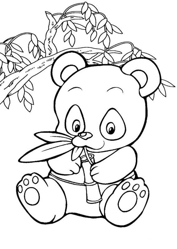Baby Panda Coloring Page
 Baby Panda Page Cartoons Coloring Pages