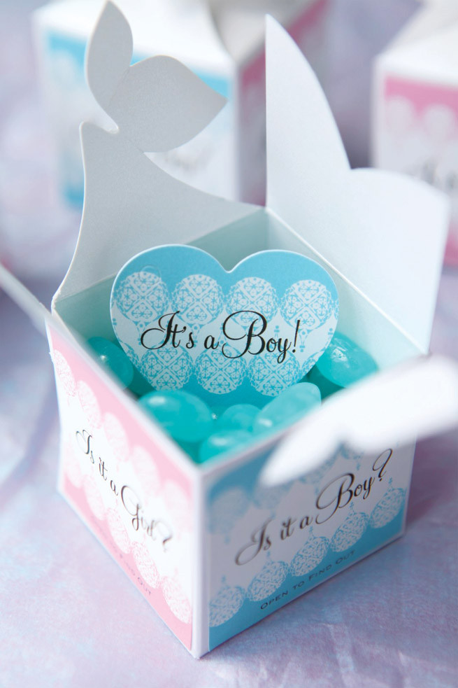 Baby Reveal Party Gifts
 Baby Gender Reveal Gifts Party Inspiration