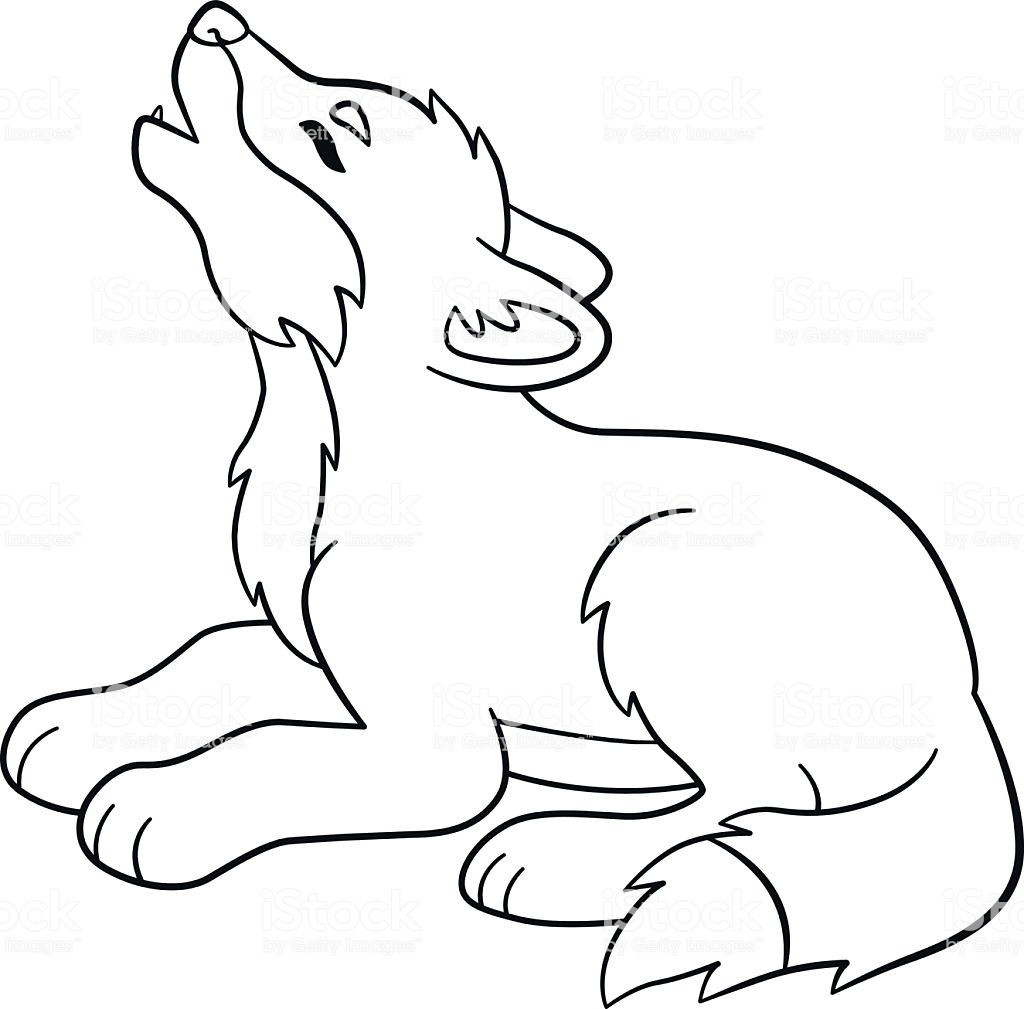 Baby Wolf Coloring Pages
 Coloring Pages Little Cute Baby Wolf Howls stock vector