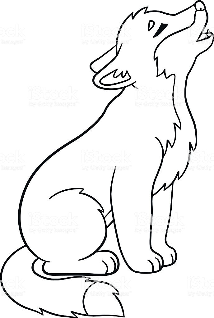 Baby Wolf Coloring Pages
 Coloring Pages Little Cute Baby Wolf Howls Stock