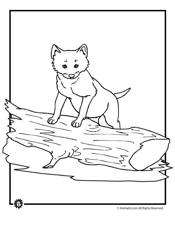 Baby Wolf Coloring Pages
 katieyunholmes Coloring Pages Wolf