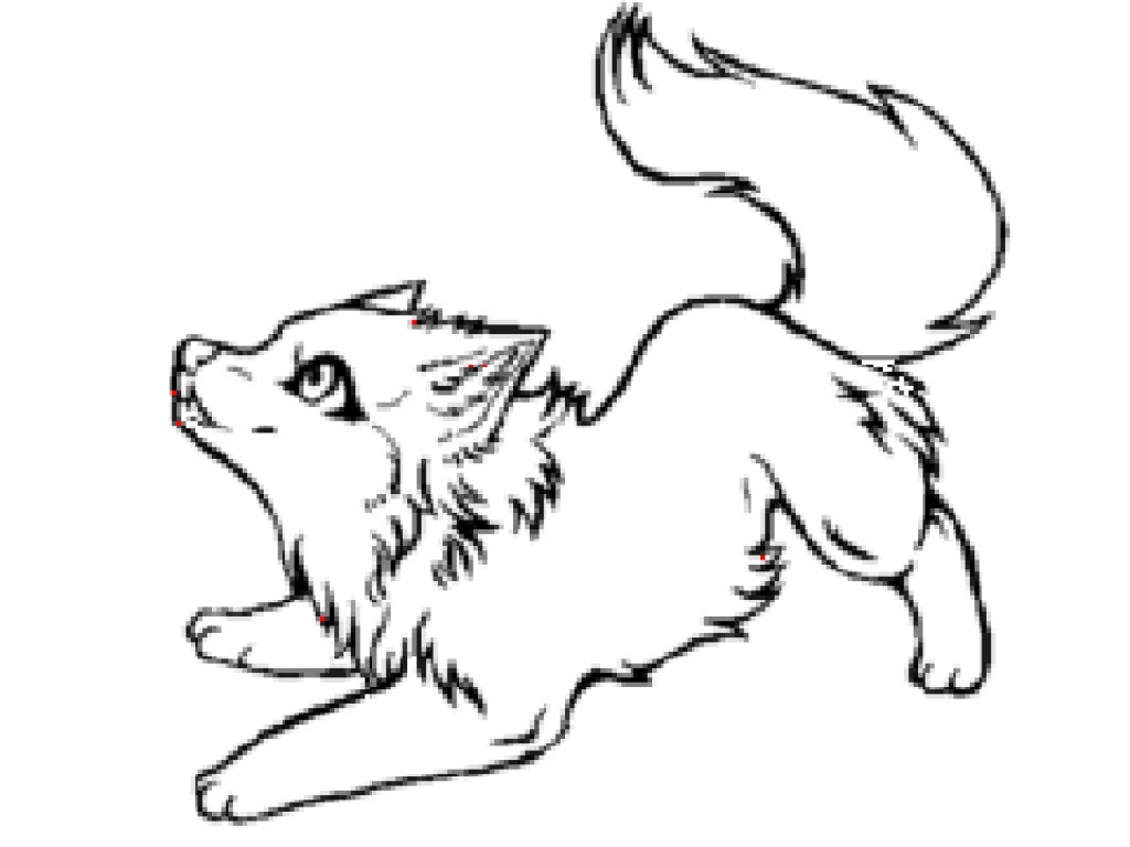 Baby Wolf Coloring Pages
 The Awesome Baby Wolf Coloring Pages pertaining to