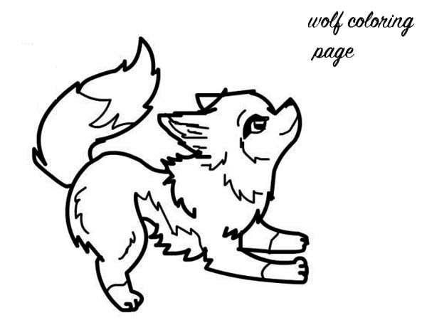 Baby Wolves Coloring Pages
 Baby Wolf Coloring Page Download & Print line Coloring
