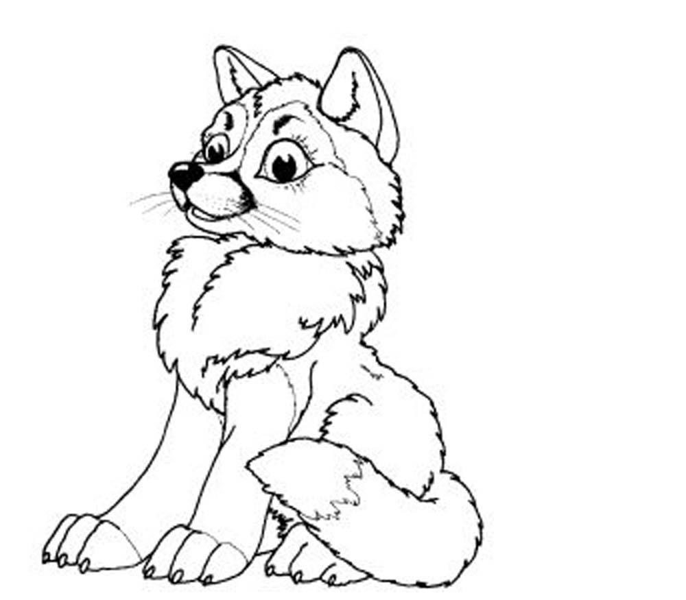 Baby Wolves Coloring Pages
 baby wolf coloring pages