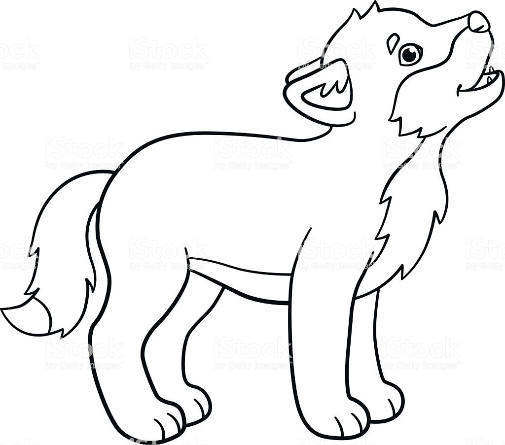Baby Wolves Coloring Pages
 Coloring Pages Little Cute Baby Wolf Howls Stock