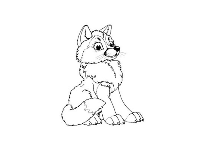 Baby Wolves Coloring Pages
 Baby wolf coloring pages