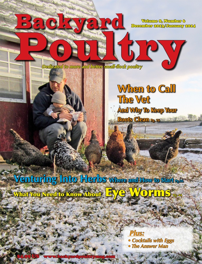 Backyard Chicken Magazines
 Backyard Poultry Magazine Giveaway
