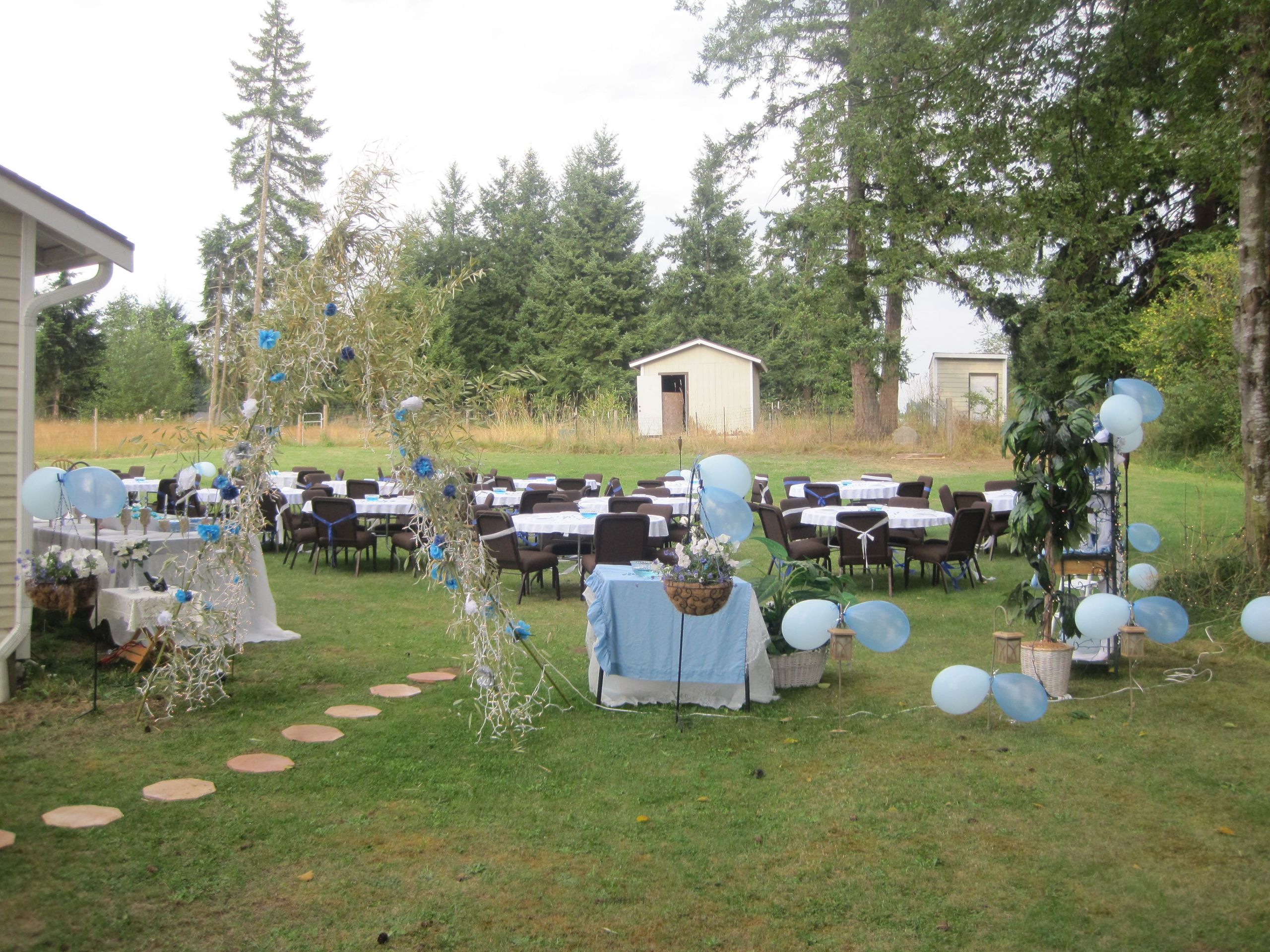 Backyard Sweet Sixteen Party Ideas
 My daughter sweet 16 in our backyard and I did everything