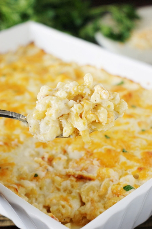 Baked Macaroni And Cheese Recipes With Cream Cheese
 2 Cheese Baked Macaroni and Cheese Recipe