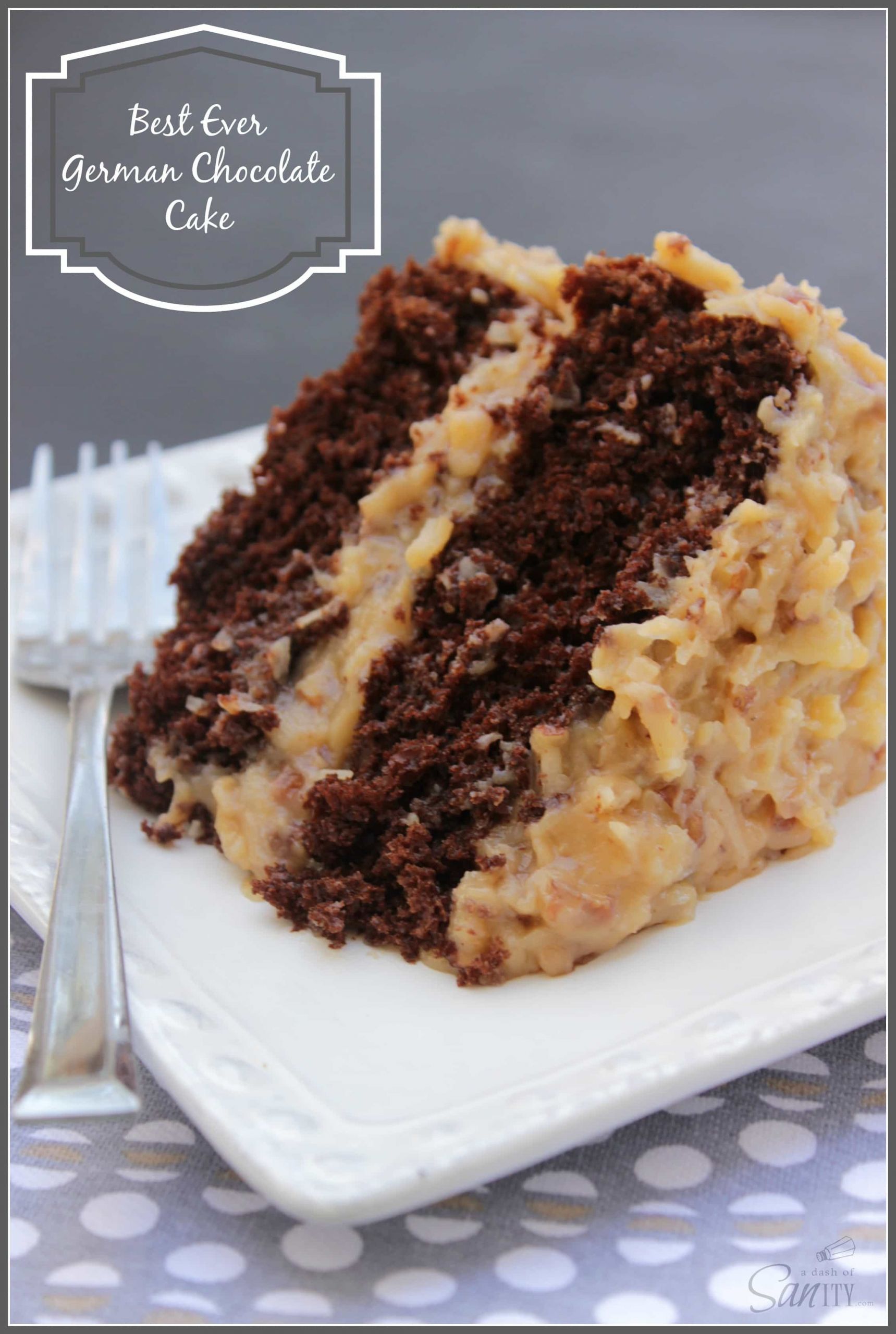 Best German Chocolate Cake Recipe
 A Dash of Sanity s 1st Birthday & KitchenAid Giveaway