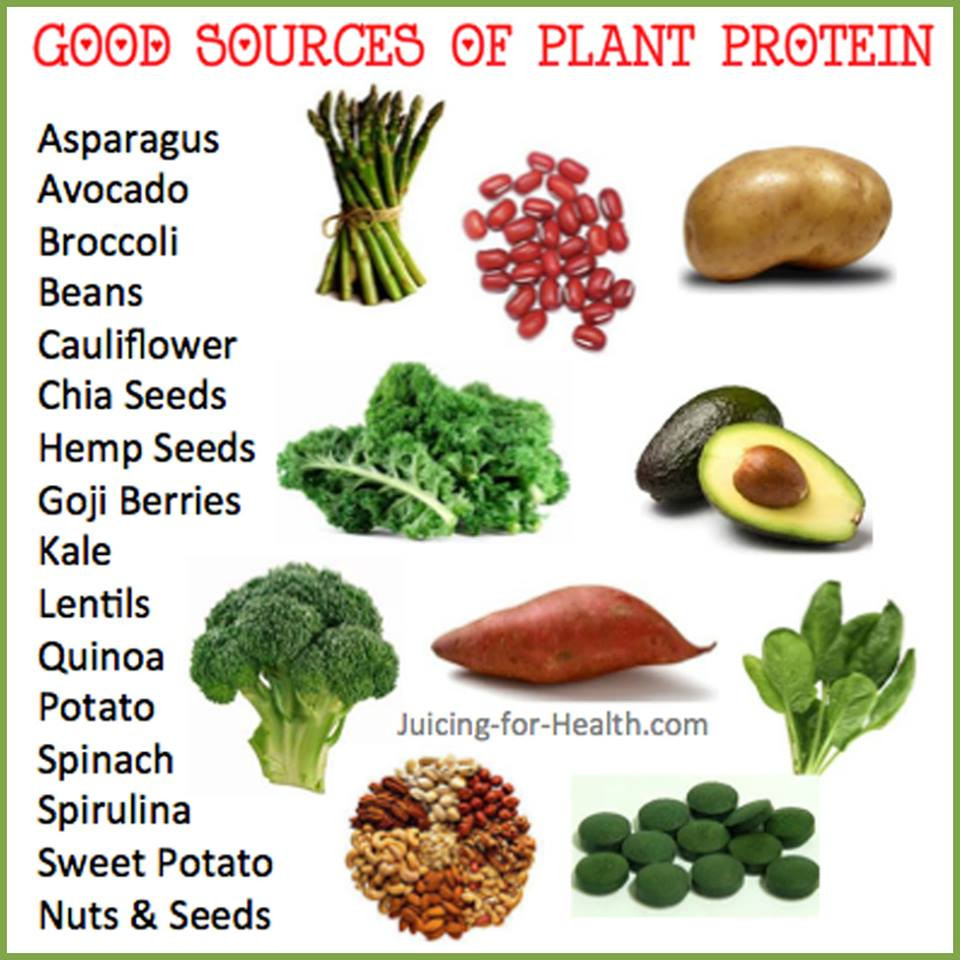 Best Protein Sources For Vegetarian
 Natural Cures Not Medicine plant based protein