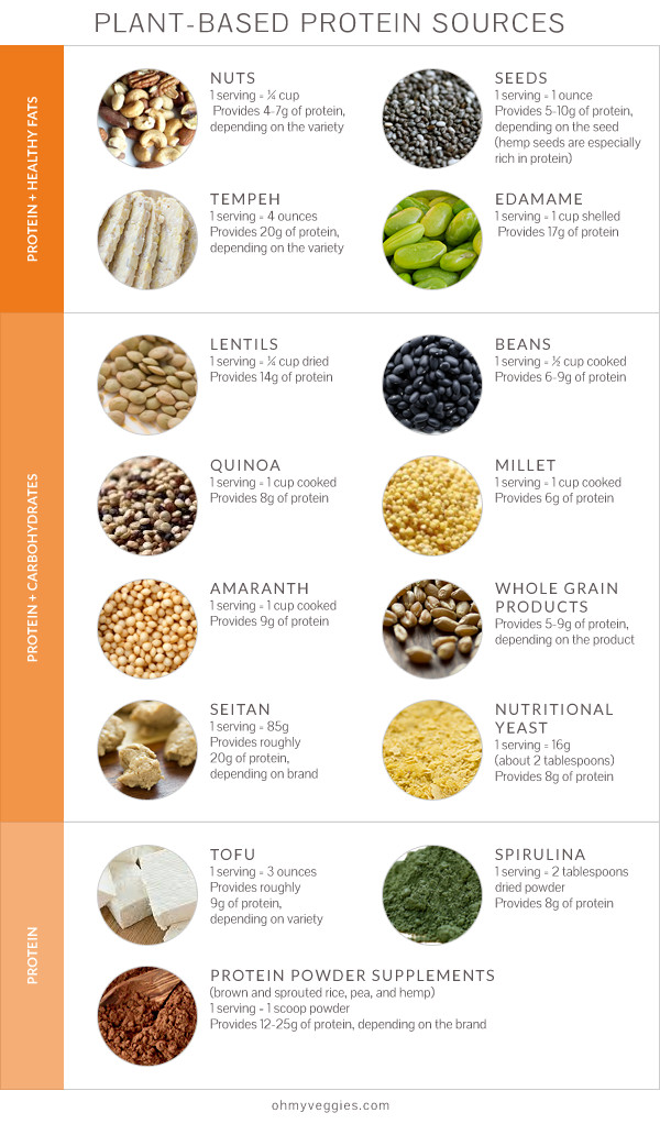 Best Protein Sources For Vegetarian
 Nutrition Q&A Protein Plant Based Diets