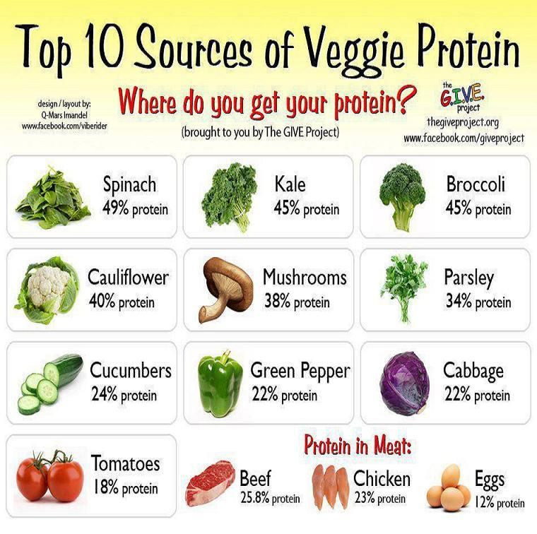 Best Protein Sources For Vegetarian
 Top 10 Sources of Veggie Protein