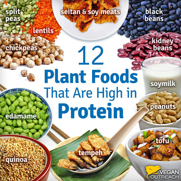 Best Protein Sources For Vegetarian
 How To Be e A Vegan The Ultimate Guide to Plant Based