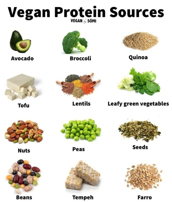Best Protein Sources For Vegetarian
 What are some mon misconceptions about ve arianism