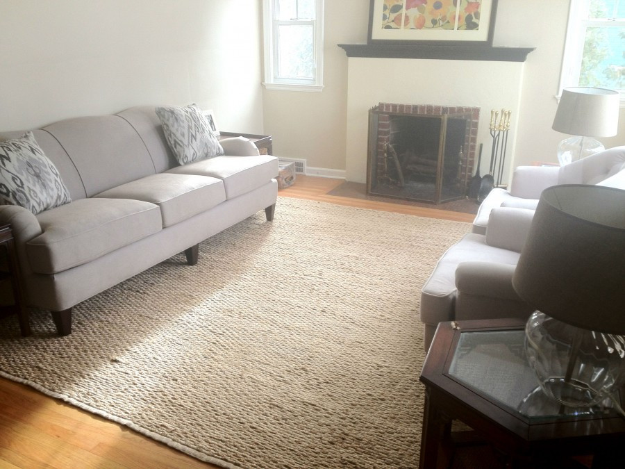 Best Rugs For Living Room
 couch in livingroom