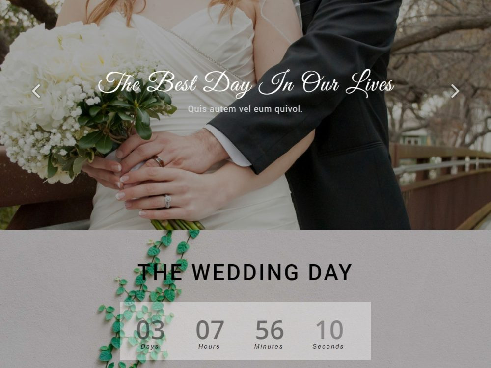 Best Wedding Website Themes
 25 Elegant Free HTML Bootstrap Wedding Websites For Your